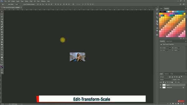 edit transform scale